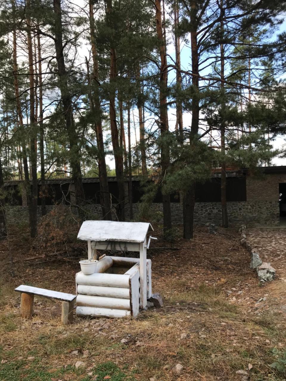 Eco Dom V Lesu Guest House Bila Krynytsia Eksteriør bilde