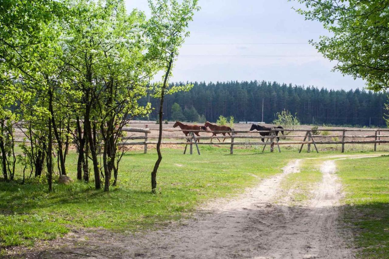 Eco Dom V Lesu Guest House Bila Krynytsia Eksteriør bilde