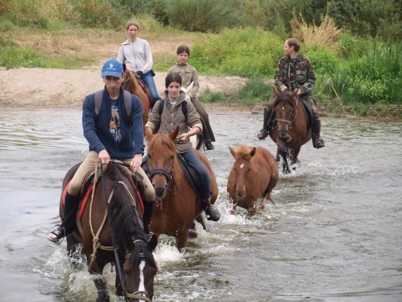 Eco Dom V Lesu Guest House Bila Krynytsia Eksteriør bilde